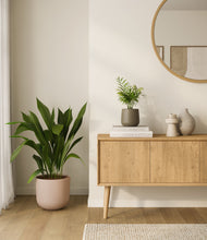 Lade das Bild in den Galerie-Viewer, Olive Branch
