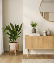 Lade das Bild in den Galerie-Viewer, Olive Branch stand:one_stand
