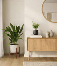Lade das Bild in den Galerie-Viewer, Orca stand:one_stand
