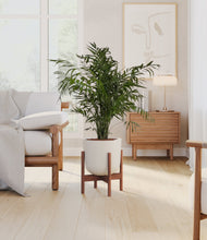 Load image into Gallery viewer, Natural Bamboo stand:walnut
