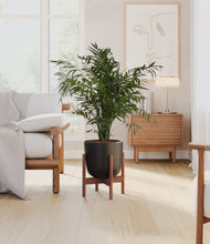Load image into Gallery viewer, Stone Black stand:walnut
