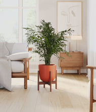 Load image into Gallery viewer, Earth Red stand:walnut
