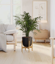 Load image into Gallery viewer, Stone Black stand:bamboo
