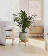 Load image into Gallery viewer, Sage Green stand:bamboo
