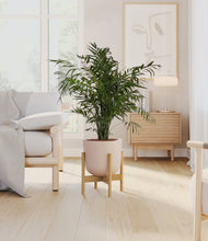 Load image into Gallery viewer, Sandy Pink stand:bamboo
