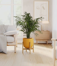 Load image into Gallery viewer, Sunset Orange stand:bamboo
