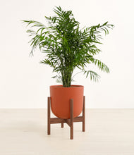 Load image into Gallery viewer, Earth Red stand:walnut
