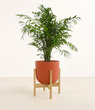 Load image into Gallery viewer, Earth Red stand:bamboo
