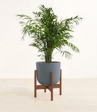 Load image into Gallery viewer, Iron Gray stand:walnut
