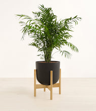 Load image into Gallery viewer, Stone Black stand:bamboo
