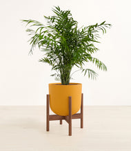 Load image into Gallery viewer, Sunset Orange stand:walnut
