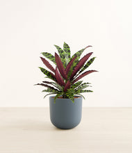 Load image into Gallery viewer, Iron Gray*****Profile
