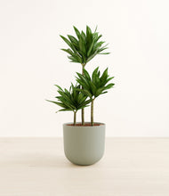 Load image into Gallery viewer, Sage Green*****Profile
