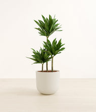 Load image into Gallery viewer, Natural Bamboo*****Profile
