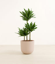 Load image into Gallery viewer, Sandy Pink*****Profile
