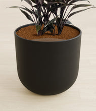 Load image into Gallery viewer, Stone Black stand:all
