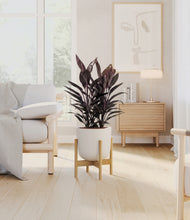 Load image into Gallery viewer, Natural Bamboo stand:bamboo
