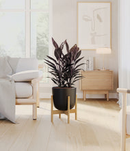 Load image into Gallery viewer, Stone Black stand:bamboo
