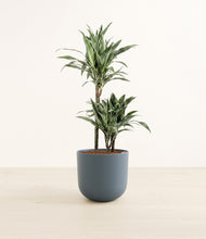 Load image into Gallery viewer, Iron Gray*****Profile
