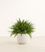 Load image into Gallery viewer, Natural Bamboo*****Profile
