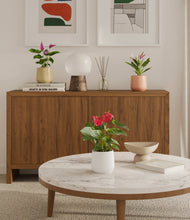 Load image into Gallery viewer, Sandy
