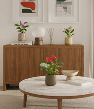 Load image into Gallery viewer, Woodland
