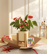 Load image into Gallery viewer, Anthurium Red
