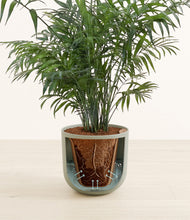 Lade das Bild in den Galerie-Viewer, Sage Green stand:all
