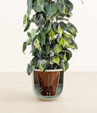 Load image into Gallery viewer, Natural Bamboo stand:all
