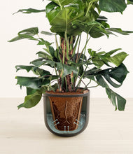 Lade das Bild in den Galerie-Viewer, Stone Black stand:all
