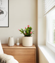 Load image into Gallery viewer, -

