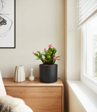 Load image into Gallery viewer, -
