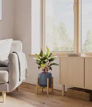 Load image into Gallery viewer, Deep Navy stand:bamboo
