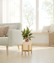 Load image into Gallery viewer, Cream stand:bamboo
