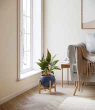 Load image into Gallery viewer, Deep Navy stand:bamboo
