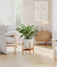 Load image into Gallery viewer, Natural Bamboo stand:bamboo
