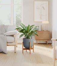 Load image into Gallery viewer, Iron Gray stand:bamboo
