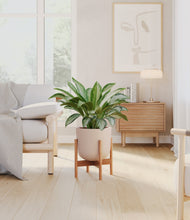 Load image into Gallery viewer, Sandy Pink stand:bamboo
