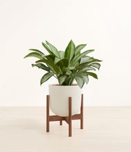 Load image into Gallery viewer, Natural Bamboo stand:walnut
