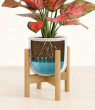 Load image into Gallery viewer, Hammered Ivory stand:bamboo
