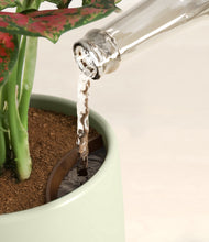 Load image into Gallery viewer, Woodland Hues stand:all
