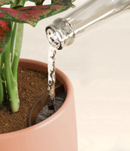 Load image into Gallery viewer, Sunset stand:all
