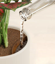 Load image into Gallery viewer, Rose Petal stand:all
