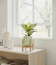 Lade das Bild in den Galerie-Viewer, Turquoise stand:light

