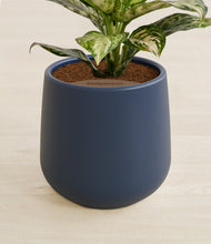 Lade das Bild in den Galerie-Viewer, Deep Navy stand:all

