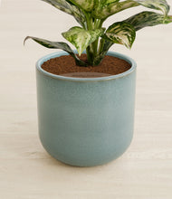 Charger l'image dans la galerie, Reactive Aqua stand:all
