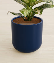 Charger l'image dans la galerie, Twilight Blue stand:all
