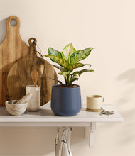 Lade das Bild in den Galerie-Viewer, Deep Navy
