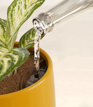 Lade das Bild in den Galerie-Viewer, Mustard stand:all
