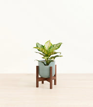 Charger l'image dans la galerie, Reactive Aqua stand:dark
